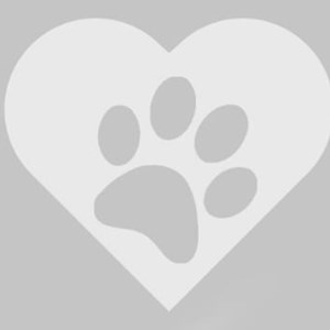 Kateřina- petsitter Václavovice or Pet nanny for 