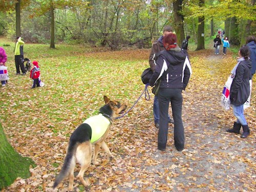 Klára- petsitter Kralovice or Pet nanny for dogs cats