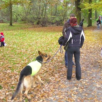 thumbnail petsitter Kralovice or pet nanny for dogs cats