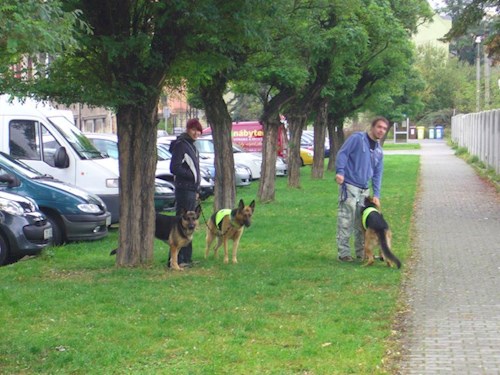 Klára- petsitter Kralovice or Pet nanny for dogs cats