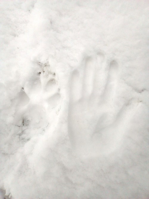 Klára- petsitter Kralovice or Pet nanny for dogs cats