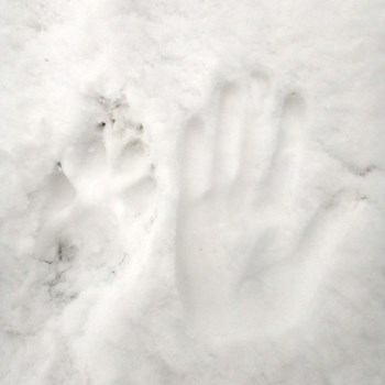 thumbnail petsitter Kralovice or pet nanny for dogs cats