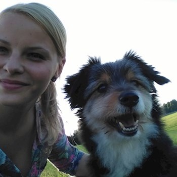 thumbnail petsitter Liberec nebo páníček pro psi kočky