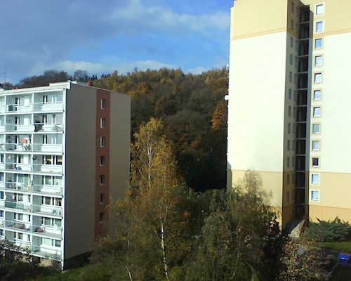 Eva- petsitter Litvínov or Pet nanny for dogs