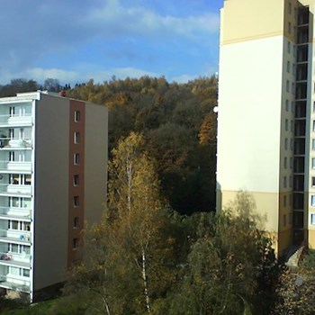 thumbnail petsitter Litvínov or pet nanny for dogs