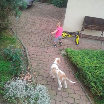 thumbnail petsitter Jasenná 13 nebo páníček pro psi