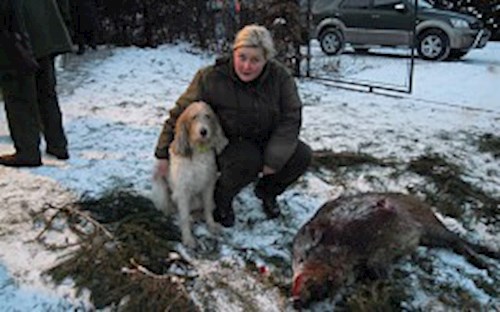 Eva- petsitter Jasenná 13 nebo Páníček pro psi