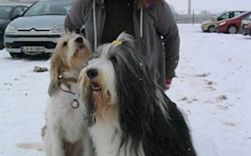 Eva- petsitter Jasenná 13 nebo Páníček pro psi