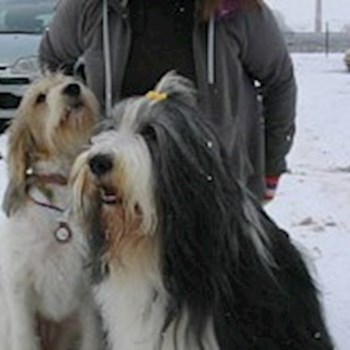 thumbnail petsitter Jasenná 13 nebo páníček pro psi