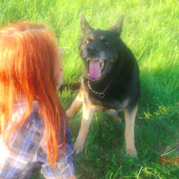 thumbnail petsitter České Budějovice or pet nanny for dogs
