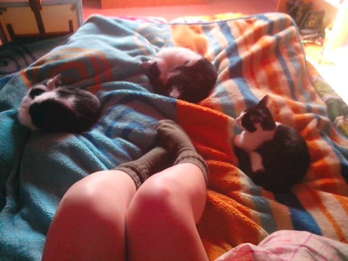 Lucie- petsitter České Budějovice or Pet nanny for dogs
