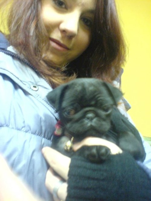 Lucie- petsitter České Budějovice or Pet nanny for dogs