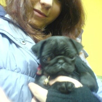 thumbnail petsitter České Budějovice or pet nanny for dogs