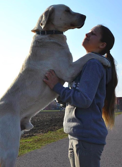 Michaela- petsitter Chvalovice nebo Páníček pro psi kočky
