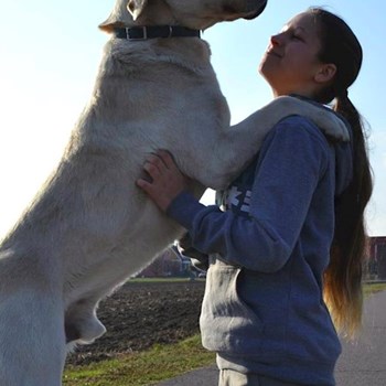 thumbnail petsitter Chvalovice nebo páníček pro psi kočky