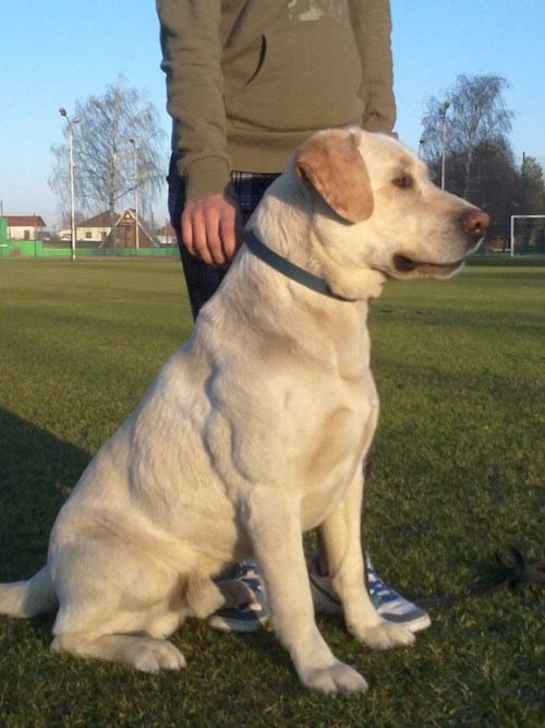 Michaela- petsitter Chvalovice nebo Páníček pro psi kočky