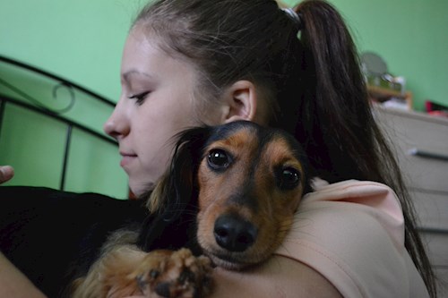 Michaela- petsitter Chvalovice nebo Páníček pro psi kočky