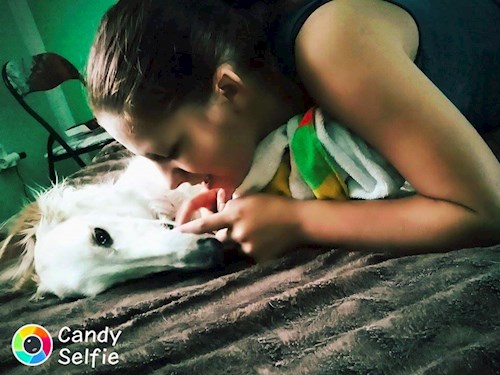 Michaela- petsitter Chvalovice nebo Páníček pro psi kočky