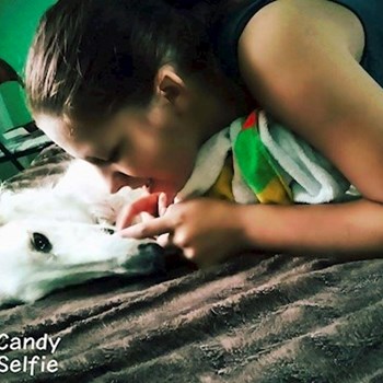 thumbnail petsitter Chvalovice nebo páníček pro psi kočky