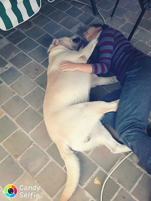 Michaela- petsitter Chvalovice nebo Páníček pro psi kočky