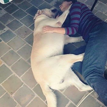 thumbnail petsitter Chvalovice nebo páníček pro psi kočky