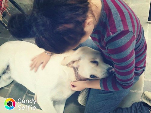 Michaela- petsitter Chvalovice nebo Páníček pro psi kočky