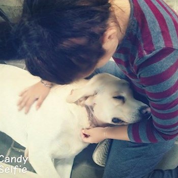 thumbnail petsitter Chvalovice nebo páníček pro psi kočky