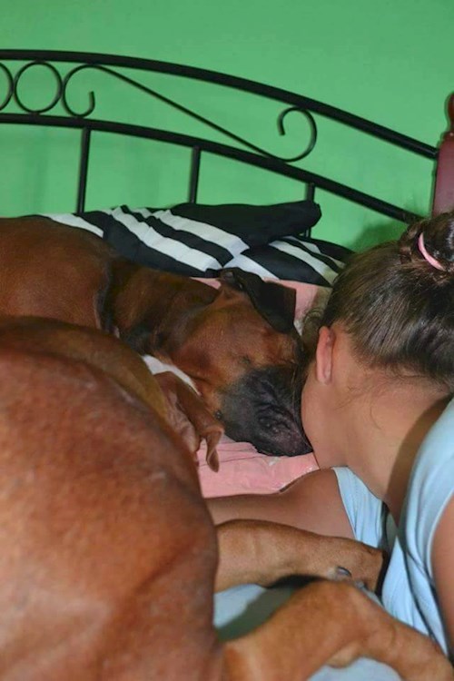 Michaela- petsitter Chvalovice nebo Páníček pro psi kočky