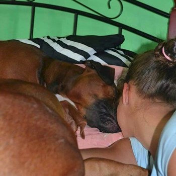 thumbnail petsitter Chvalovice nebo páníček pro psi kočky