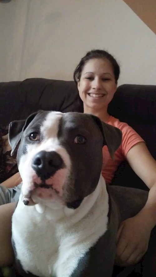 Michaela- petsitter Chvalovice nebo Páníček pro psi kočky