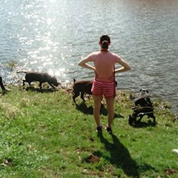 thumbnail petsitter Krásná Lípa nebo páníček pro psi