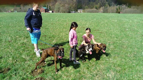Izabela- petsitter Krásná Lípa nebo Páníček pro psi