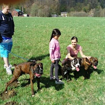 thumbnail petsitter Krásná Lípa nebo páníček pro psi