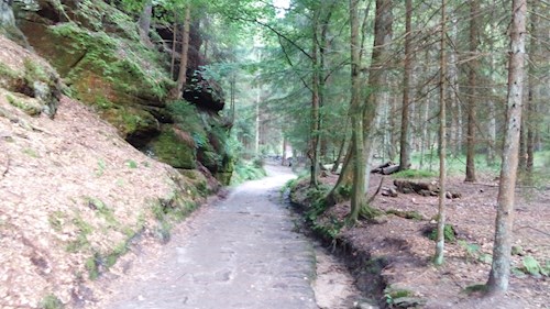 Izabela- petsitter Krásná Lípa nebo Páníček pro psi