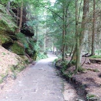 thumbnail petsitter Krásná Lípa nebo páníček pro psi