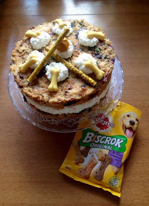 Martin- petsitter Olomouc nebo Páníček pro psi