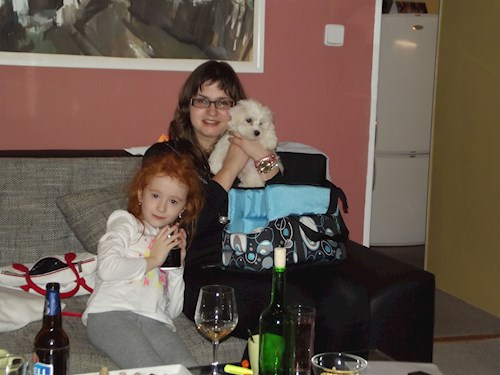 Jana- petsitter Polská 64  nebo Páníček pro psi kočky