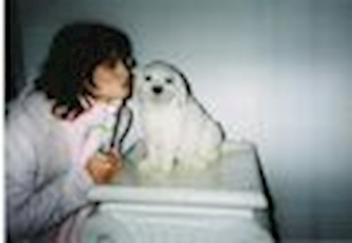 Jana- petsitter Polská 64  nebo Páníček pro psi kočky