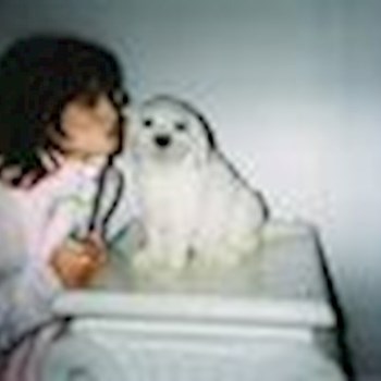 thumbnail petsitter Polská 64  nebo páníček pro psi kočky