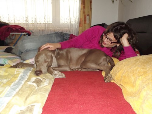 Jana- petsitter Polská 64  nebo Páníček pro psi kočky