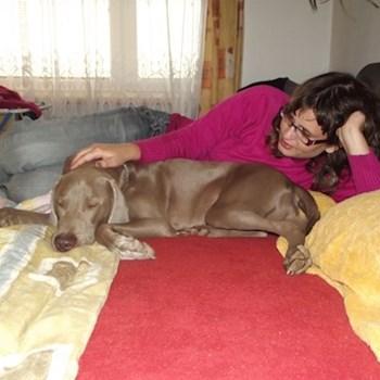 thumbnail petsitter Polská 64  nebo páníček pro psi kočky