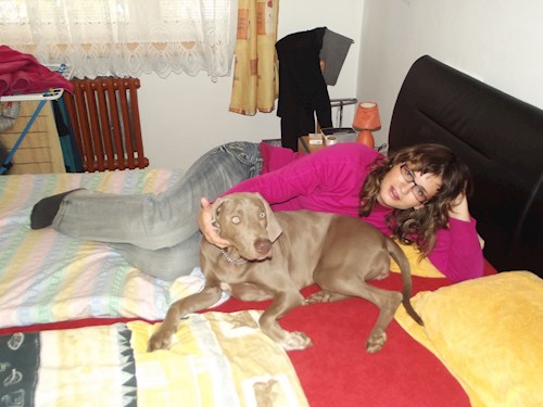 Jana- petsitter Polská 64  nebo Páníček pro psi kočky