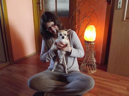 Jana- petsitter Polská 64  nebo Páníček pro psi kočky