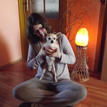 thumbnail petsitter Polská 64  nebo páníček pro psi kočky