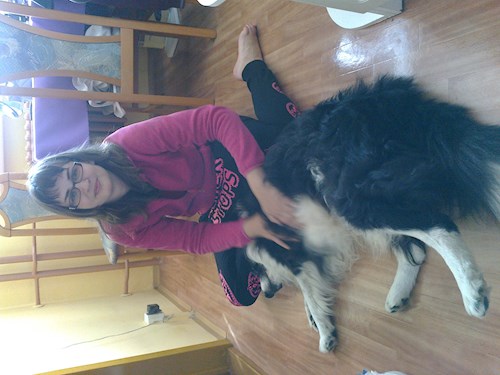 Jana- petsitter Polská 64  nebo Páníček pro psi kočky