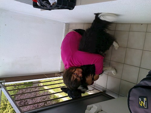 Jana- petsitter Polská 64  nebo Páníček pro psi kočky