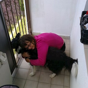 thumbnail petsitter Polská 64  nebo páníček pro psi kočky