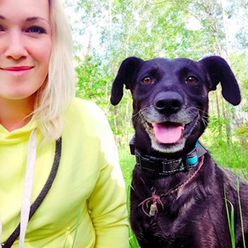  thumbnail petsitter Hradec Králové or pet nanny for dogs cats 