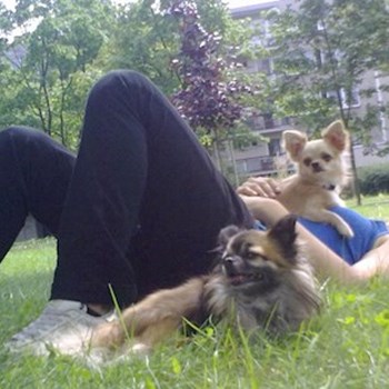  thumbnail petsitter Hradec Králové or pet nanny for dogs cats 