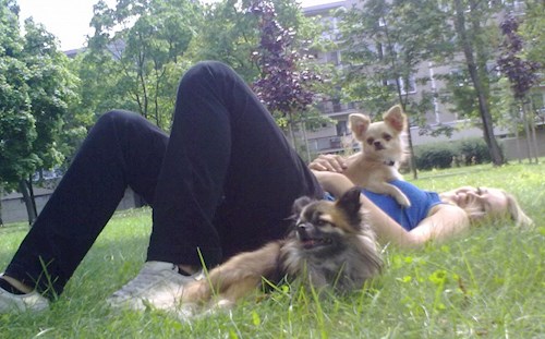 Martina- petsitter Hradec Králové nebo Páníček pro psi kočky